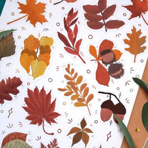 May include: A set of 12 autumn-themed stickers featuring various leaves and acorns in shades of brown, orange, yellow, and red. The stickers are on a white background with a decorative pattern of dots and lines.