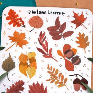May include: A sheet of stickers featuring various autumn leaves in shades of red, orange, yellow, and brown. The stickers are arranged in a grid pattern and have a white background. The text "Autumn Leaves" is printed at the top of the sheet.