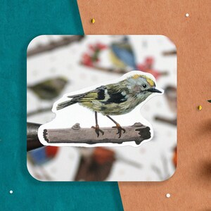 Puede incluir: Una pegatina con una ilustraci&oacute;n detallada de un peque&ntilde;o p&aacute;jaro de pecho amarillo posado en una rama. El p&aacute;jaro tiene un ojo negro y un pico amarillo. El fondo es una imagen borrosa de otros p&aacute;jaros y ramas.