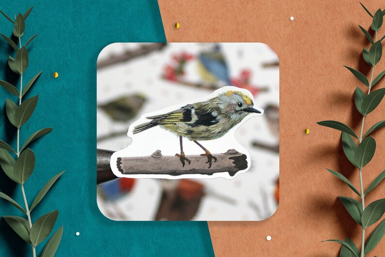 Puede incluir: Una pegatina con una ilustraci&oacute;n detallada de un peque&ntilde;o p&aacute;jaro de pecho amarillo posado en una rama. El p&aacute;jaro tiene un ojo negro y un pico amarillo. El fondo es una imagen borrosa de otros p&aacute;jaros y ramas.