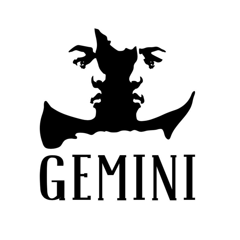 Gemini Vinyl Sticker Zodiac Astrology Gift Decal for Etsy