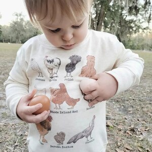 Chicken Breeds Toddlers Pullover, Farm animal outfit, Unisex chicken Shirt, Farm toddler clothing, Homestead toddler, Chicken top