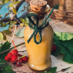 May include: A small glass bottle with a cork stopper and a green ribbon tied around the neck. The bottle is filled with a light yellow liquid. The bottle is sitting on a wooden surface with green leaves and red berries.