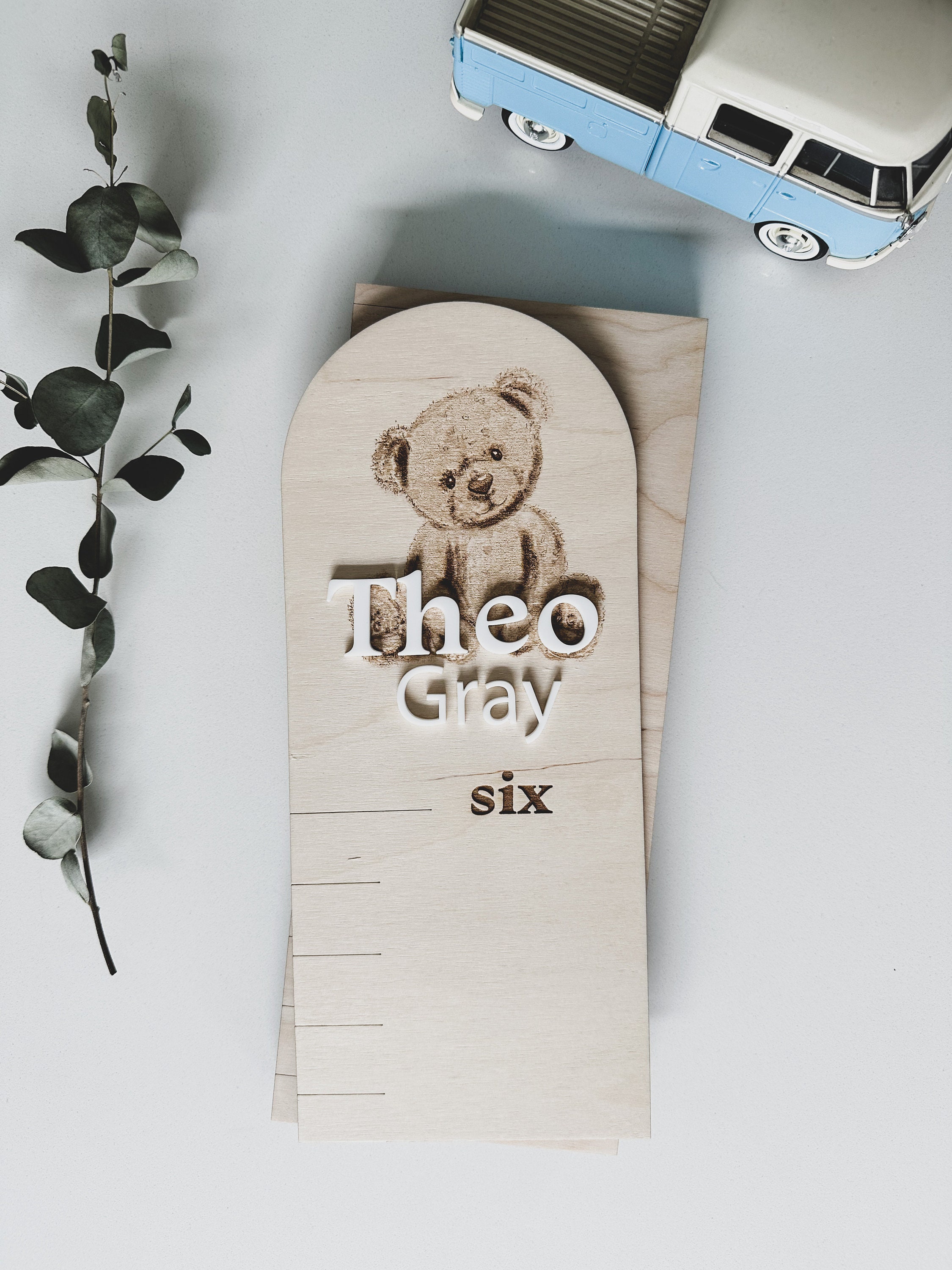 Teddy Bear Baby Boys Growth Chart