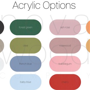 Puede incluir: Una tabla de colores de pintura acr&iacute;lica, que incluye negro, verde bosque, rosa ceniza, papaya, cachemira, oliva, palo de rosa, sorbete, blanco, azul franc&eacute;s, chicle, azul beb&eacute; y cereza.