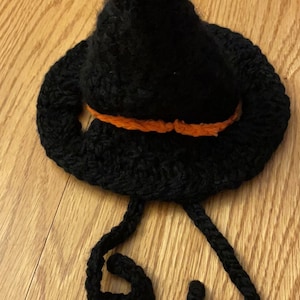 Witch’s Hat for Your Cat