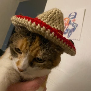 Chat Sombrero Mexicain Cat Hat Dog Hat 
