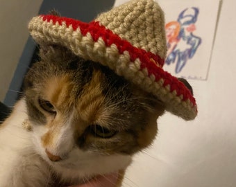 Sombrero Hat for Your Cat