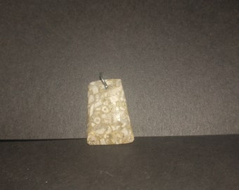 化石ペンダント