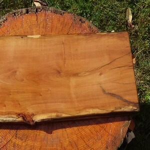 May include: A large, rectangular wooden cutting board with a natural, live edge. The board has a rich, reddish-brown color and a smooth, polished surface.