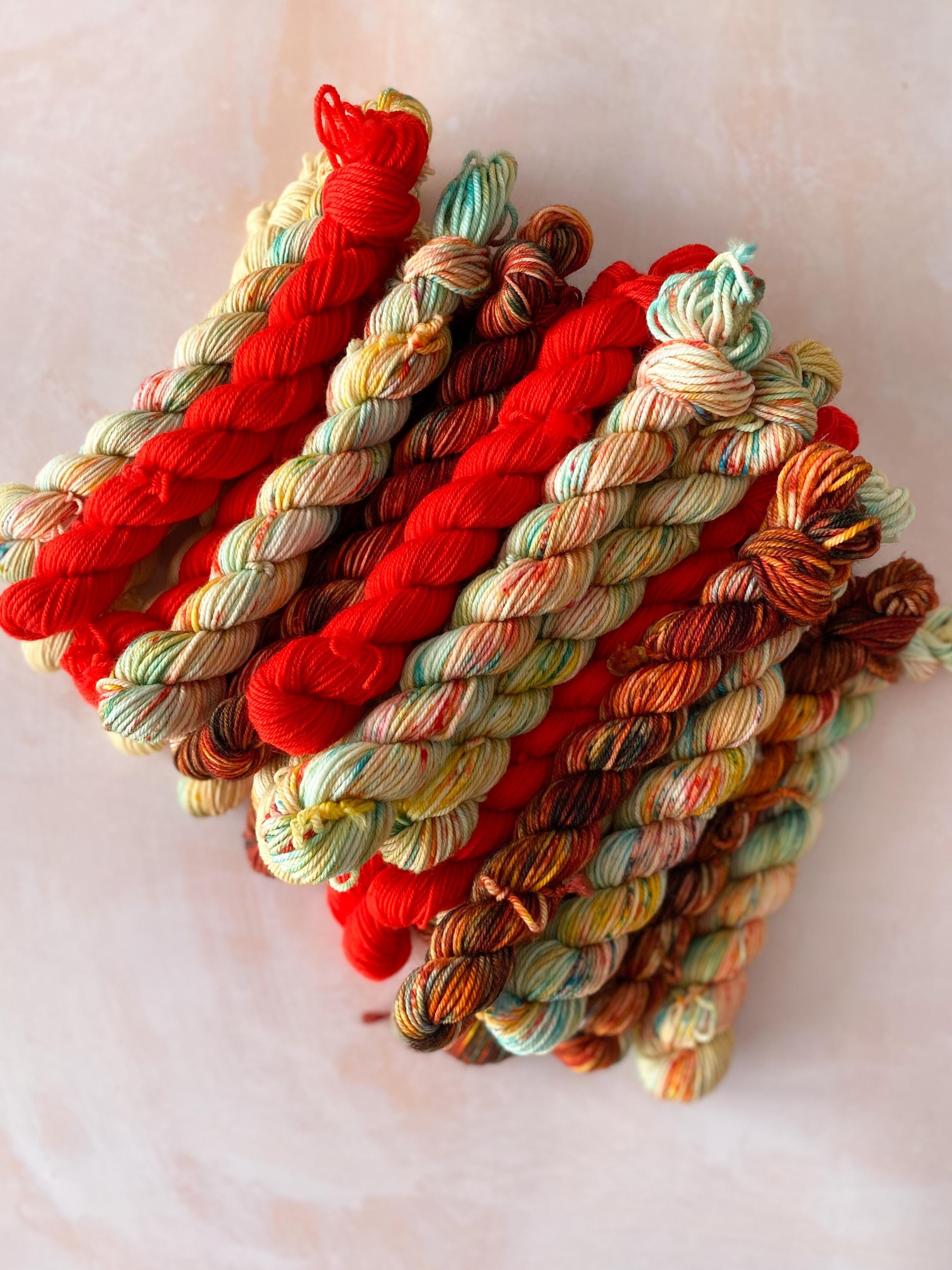 手染め糸 - 2025年3月ミニクラブ - 20gミニかせ×2 - Etsy 日本