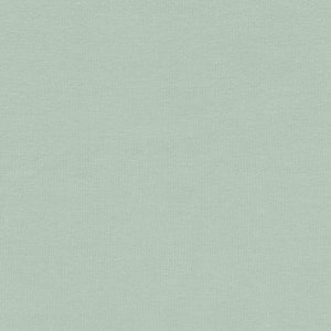 Può includere: Un tessuto verde chiaro tinta unita con una texture sottile.