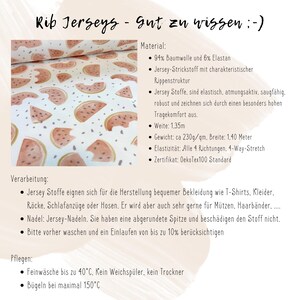 Amalfi - Premium Rib Jersey - Standard 100 by OEKO-TEX® image 4