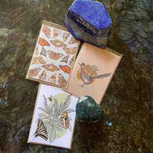 Cartes de voeux vierges de flore et de faune de Californie / Pollinisateurs de sauge blanche / Joshua Tree Roadrunner / Papillons et mites de SoCal