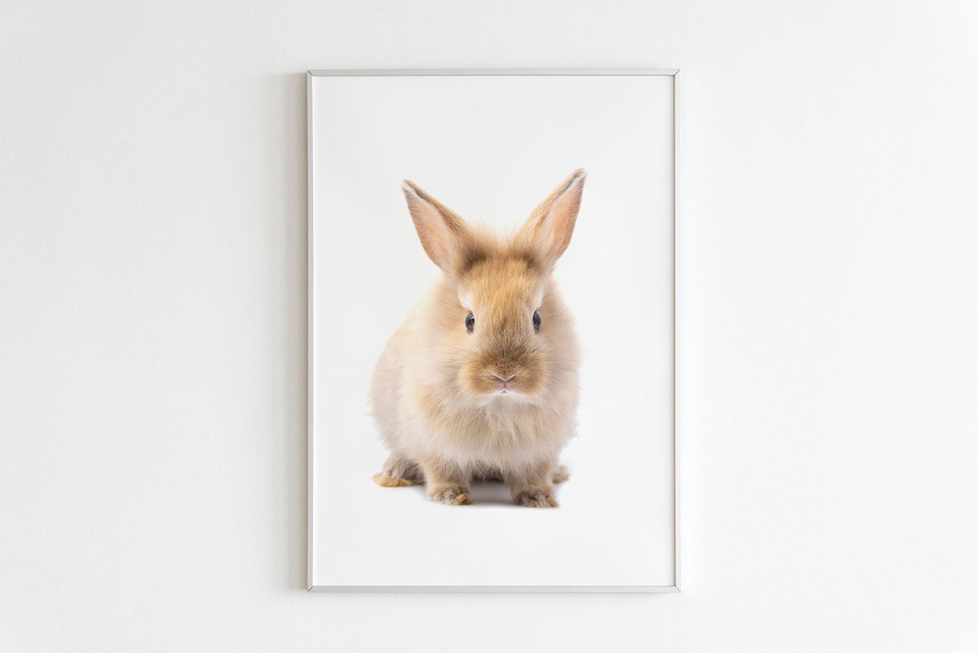 Baby Animals Print Full Set | Printable Nursery Wall Art Decor | Kids ...