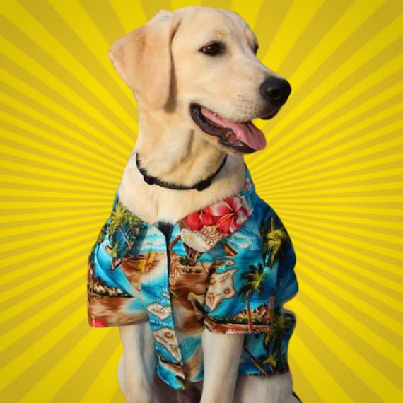 Camisa de perro hawaiana turquesa Aloha olas - Etsy México