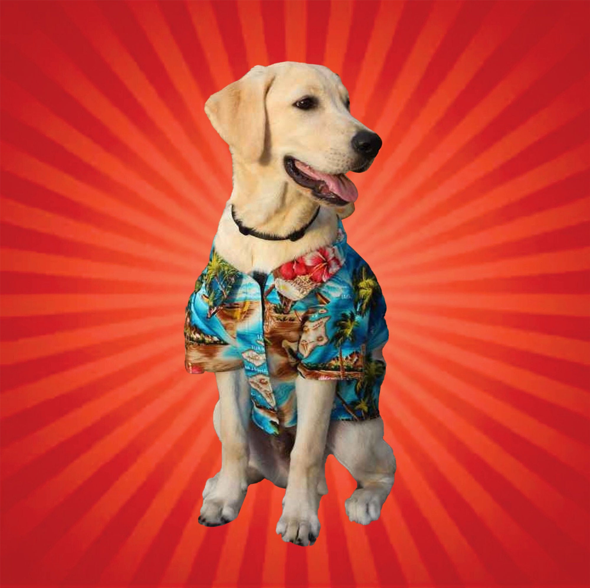 Beach Dog Shirt, Summer Dog Shirt, Hawaiian Dog Shirt, Waves, Velcro