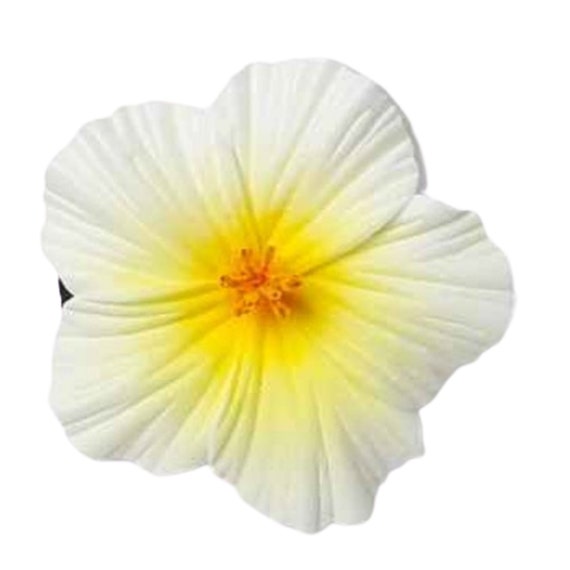 Small White Hibiscus Flower Hair Clip Natural Color Foam - Etsy Small White Hibiscus Flower Hair Clip Natural Color Foam - Etsy