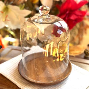 Large Plastic Dome Cloche for Plants - Etsy