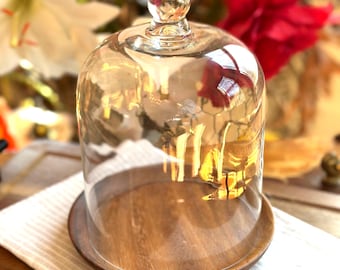 glass cloche and acacia wood plate