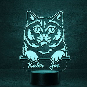 Britse korthaar BKH LED Cat Decoratie, Kat als Lamp, Nachtlampje gepersonaliseerd met naam, Geschenken voor katteneigenaren