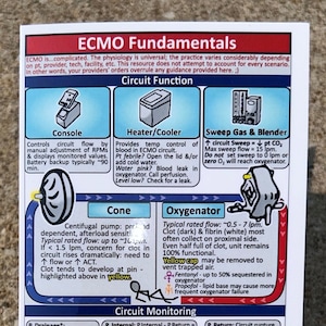 ECMO Taschenführer