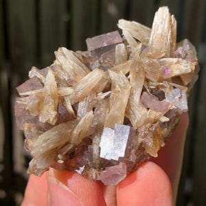 Könnte beinhalten: Ein Mineralexemplar mit einer Ansammlung von durchscheinenden, blassvioletten, würfelförmigen Kristallen, die mit länglichen, scharfen, beigefarbenen, klingenartigen Formationen durchsetzt sind. Die Kristallstruktur zeigt eine Mischung aus geometrischen Formen.