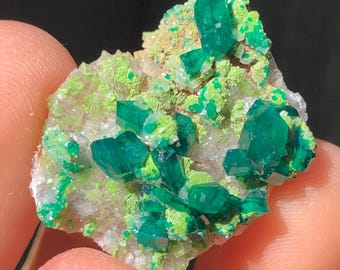 2.7cm Dioptase Crystals w/ Duftite Thumbnail on Matrix from Tsumeb Mine, Namibia