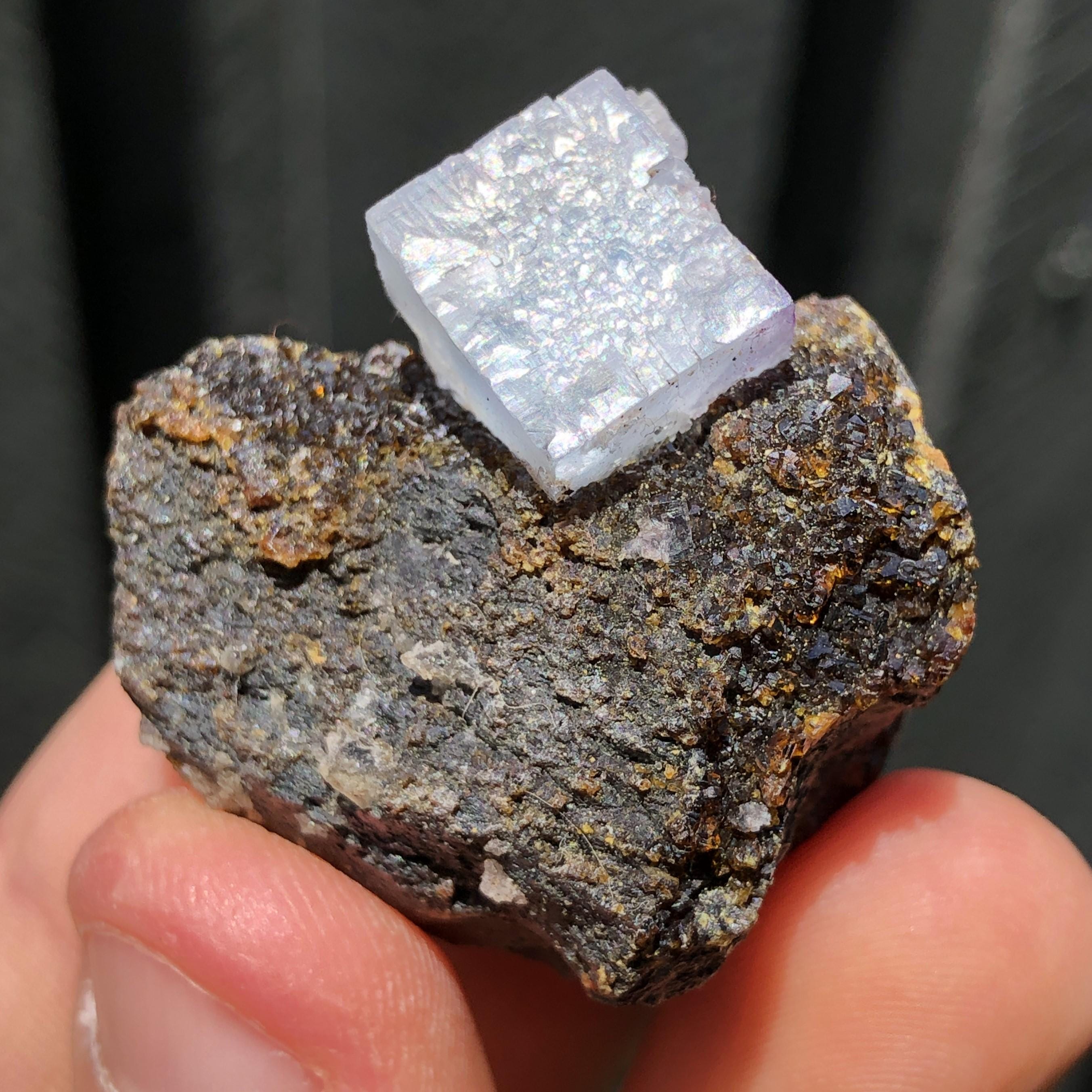 置物 Minerva Mine#1 置物 Minerva Mine#1 Fluorite (6.7cm, Minerva