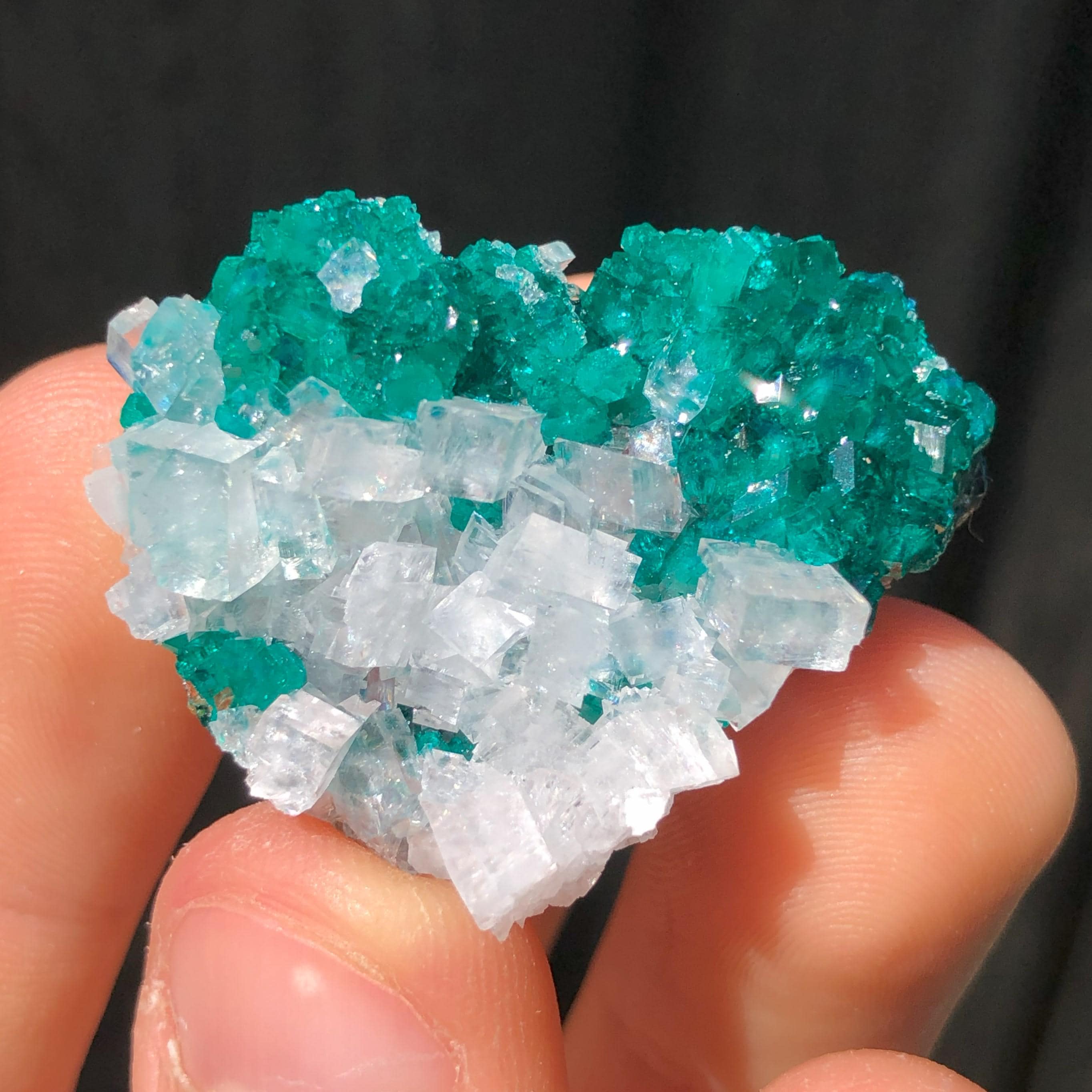 ナミビア、ツメブ鉱山産、方解石を含む 3.9 cm のダイオプテーゼ結晶