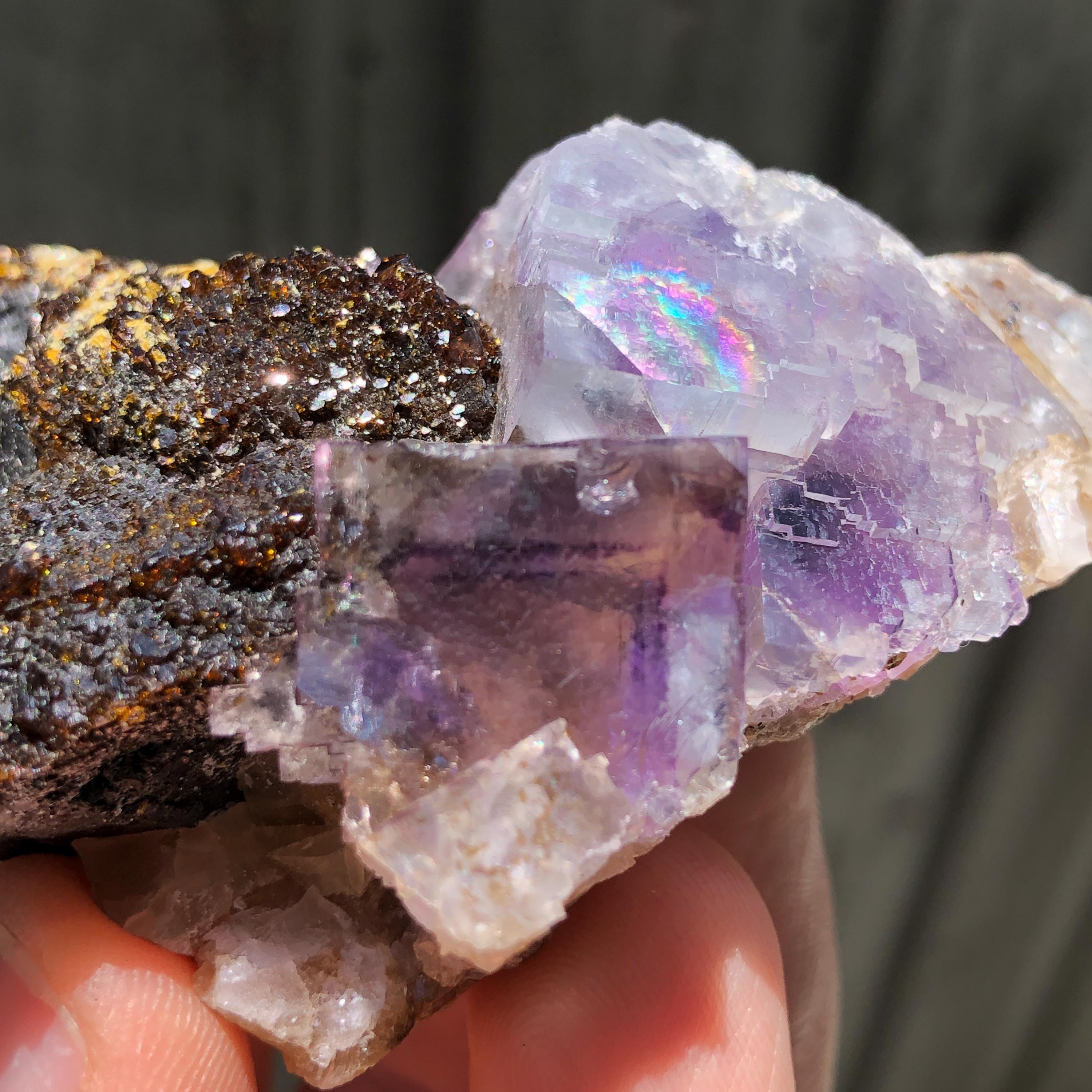 Minerva Mine - Etsy Singapore