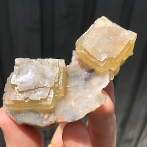 Cristaux de fluorite jaune de 9,0 cm sur matrice de quartz provenant de la mine de Yaogangxian, Chine
