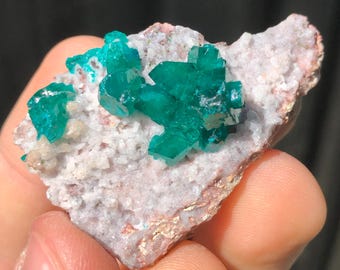 マトリックス上のダイオプテーズ結晶 – ツメブ鉱山、ナミビア（希少