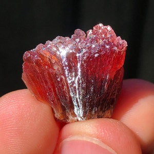 2.3cm Blood Red Rhodochrosite Crystal Cluster from Hotazel Mine, Kalahari manganese field, South Africa