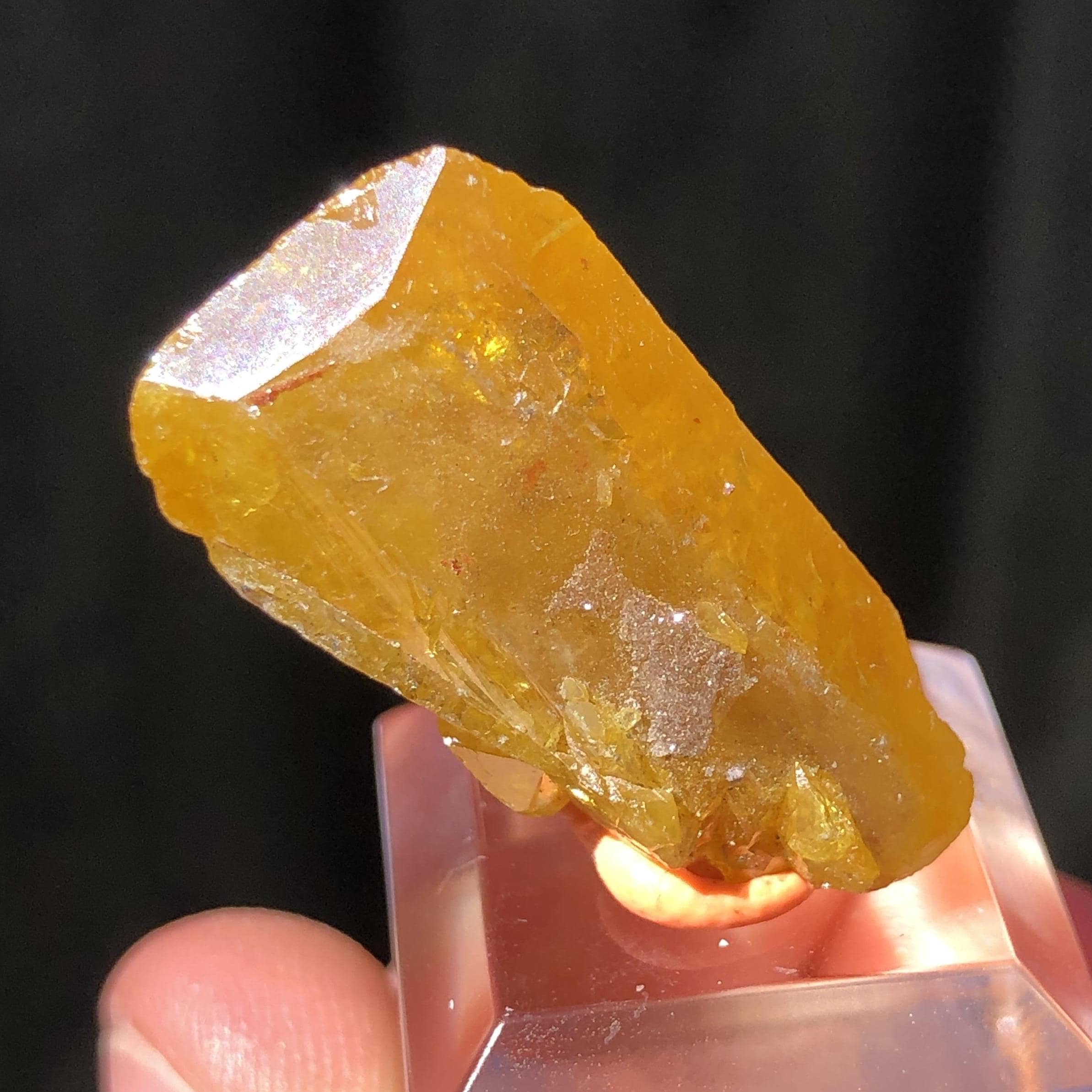 ナミビア、ツメブ鉱山産の 2.8 cm ウルフェナイト サムネイル