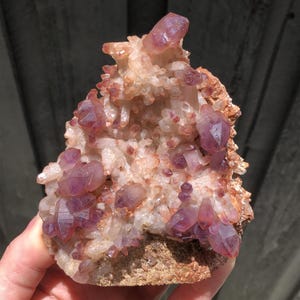 Könnte beinhalten: Ein Cluster aus Amethystkristallen, der eine Reihe von lilafarbenen Farbtönen zeigt, von tiefem Violett bis zu helleren Schattierungen. Die Kristalle sind vor einem Hintergrund aus beigen und braunen Mineralien angeordnet.