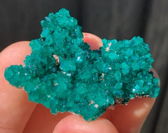 4.3cm Dioptase Crystal Cluster from the Tsumeb Mine, Namibia