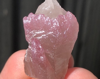 3.8cm Rose Quartz Crystal Sceptre on Smoky Quartz from Parun, Afghanistan
