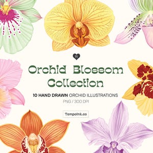 May include: A collection of ten hand-drawn orchid illustrations. The flowers are in various colors, including pink, yellow, orange, and purple. The text "Orchid Blossom Collection" is displayed in green, along with the text "10 Hand Drawn Orchid Illustrations".