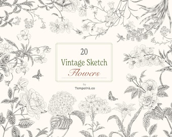Vintage Flower Sketch Clipart: Botanical Line Art (PNG) (Digital Download)