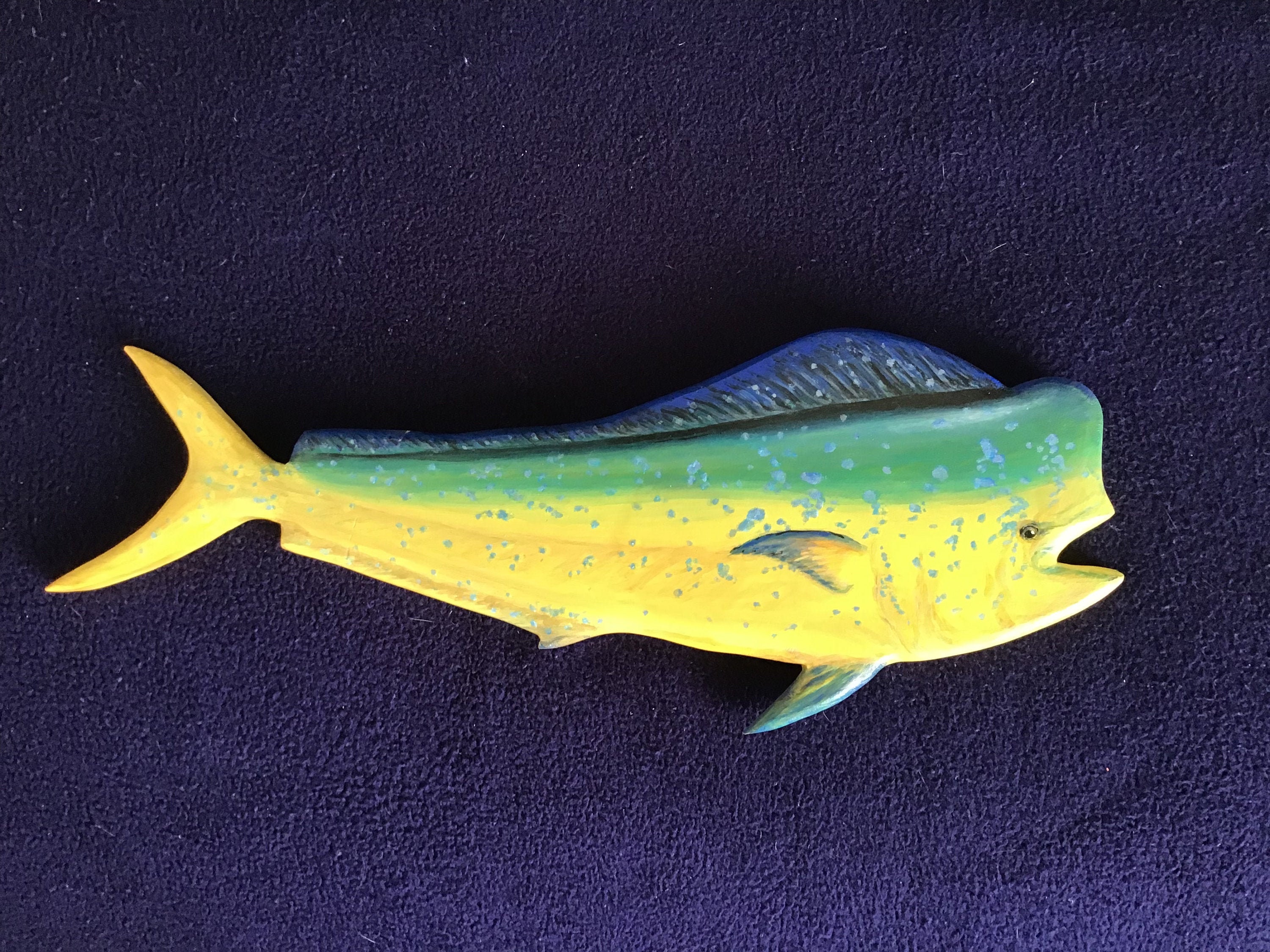 Mahi Mahi Mount for sale Only 4 left at 65