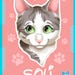 see more listings in the pet section