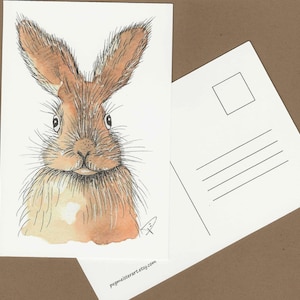 Lapin, lièvre, illustration de voeux carte postale, voeux de Pâques, cadeau pour lapin ou amateur d'art animalier ou collectionneur, jolie illustration de lapin