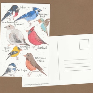 Birds of Ontario North America postcard, bird greeting card artwork print, gift for birdwatcher or birding enthusiast, ornithologist gift