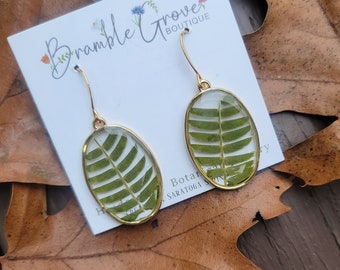 Handmade real pressed sensitive plant mimosa fern earrings | gardener gift | modern nature accessories