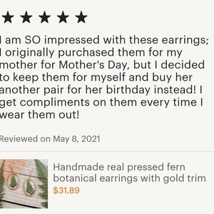 Handmade real pressed fern botanical earrings with gold trim image 9