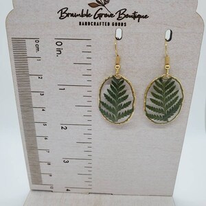Handmade real pressed fern botanical earrings with gold trim image 10