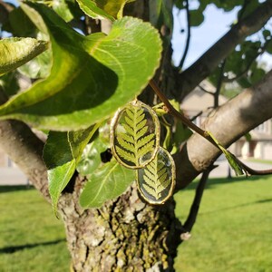 Handmade real pressed fern botanical earrings with gold trim image 6