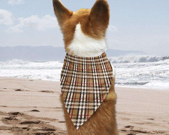 burberry dog bandana