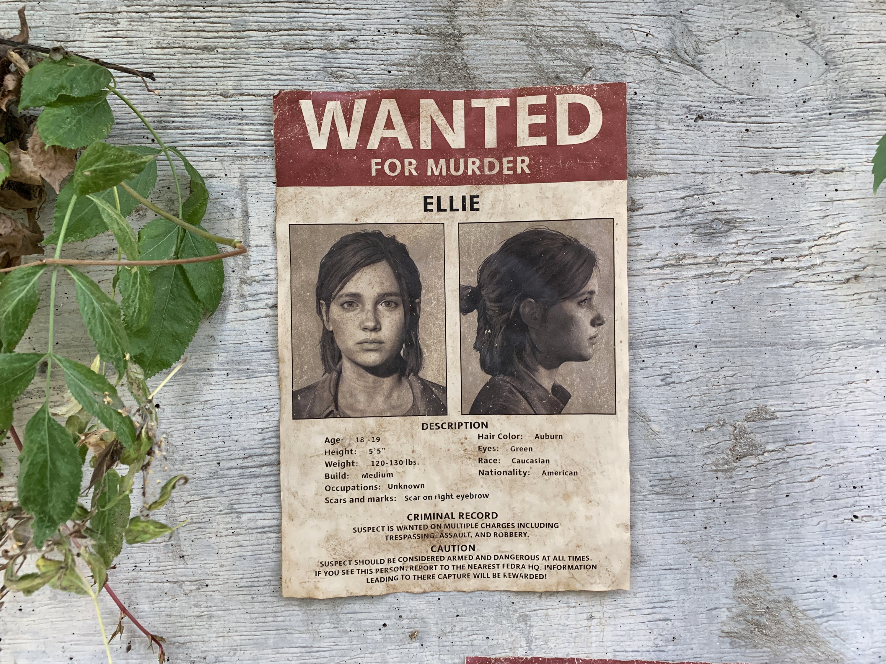 Ellie Part II Wanted Poster - Etsy Israel, image size:3000x2250